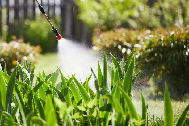 Tamper-Resistant Bait Stations for Rodents in Oasis