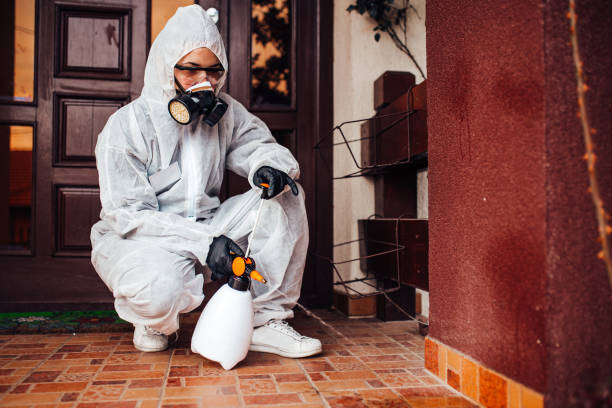 Attic and Crawl Space Rodent Treatment in Oasis